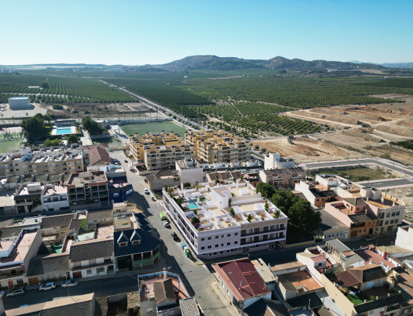 La Vista Algorfa