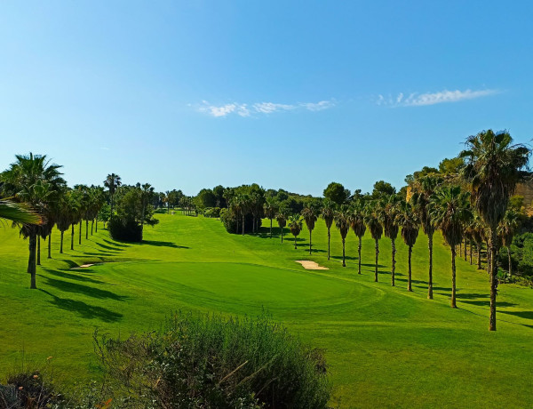 Lomas de Campoamor